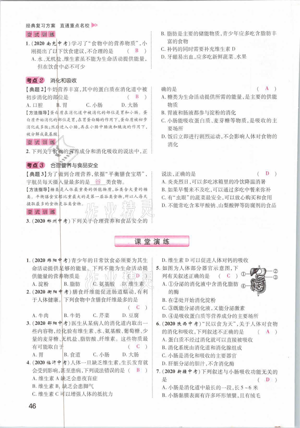 2021年名師測控中考特訓方案生物江西專版 參考答案第46頁