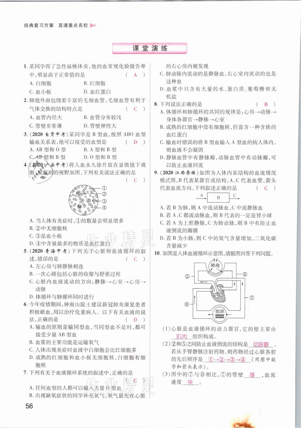 2021年名師測控中考特訓方案生物江西專版 參考答案第56頁