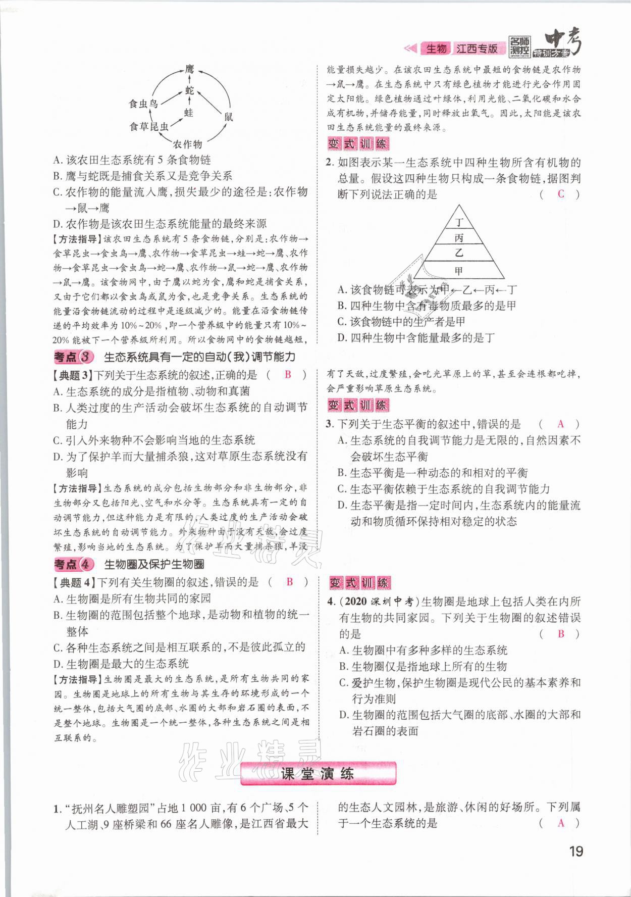 2021年名師測控中考特訓方案生物江西專版 參考答案第19頁
