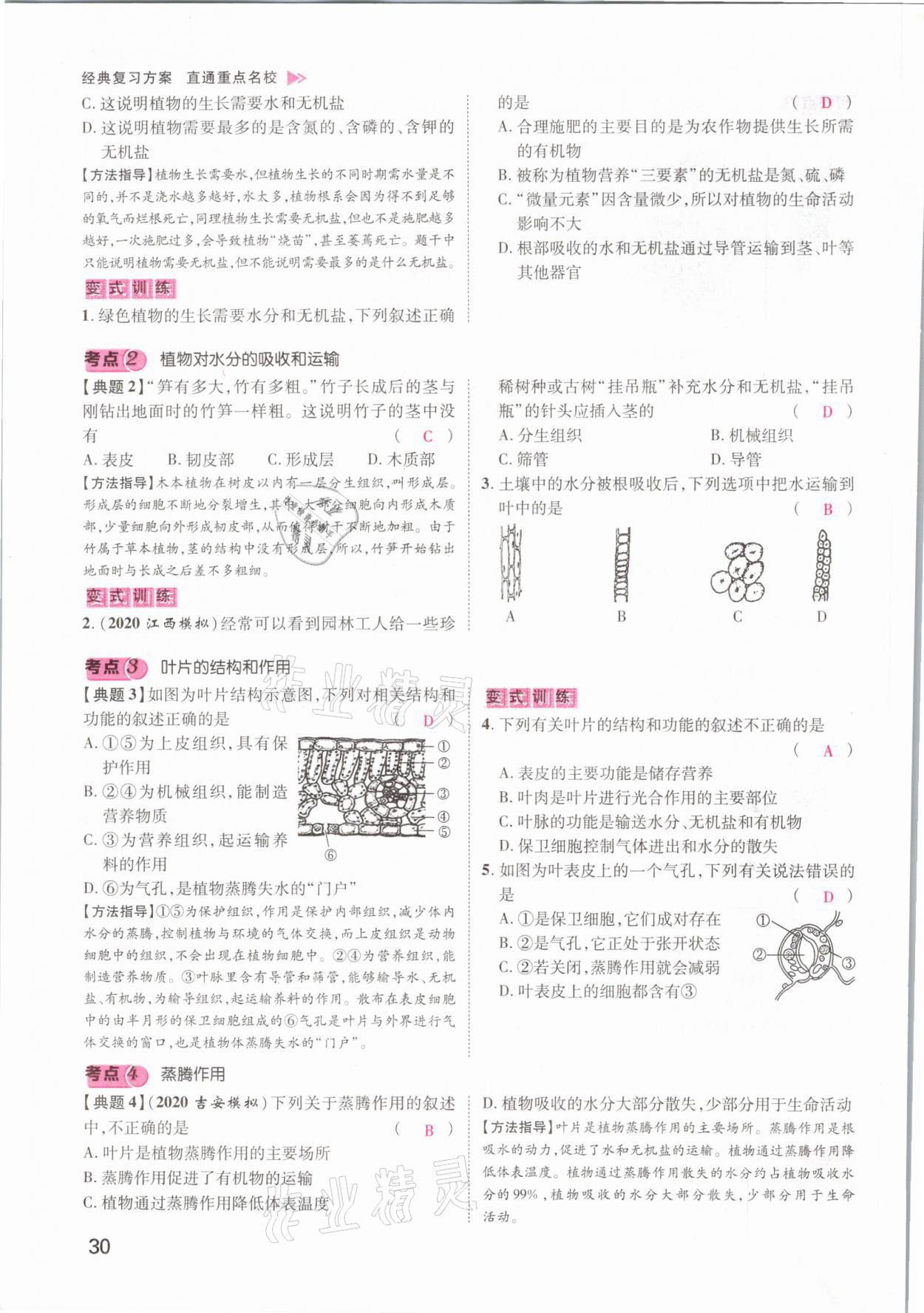 2021年名師測控中考特訓方案生物江西專版 參考答案第30頁