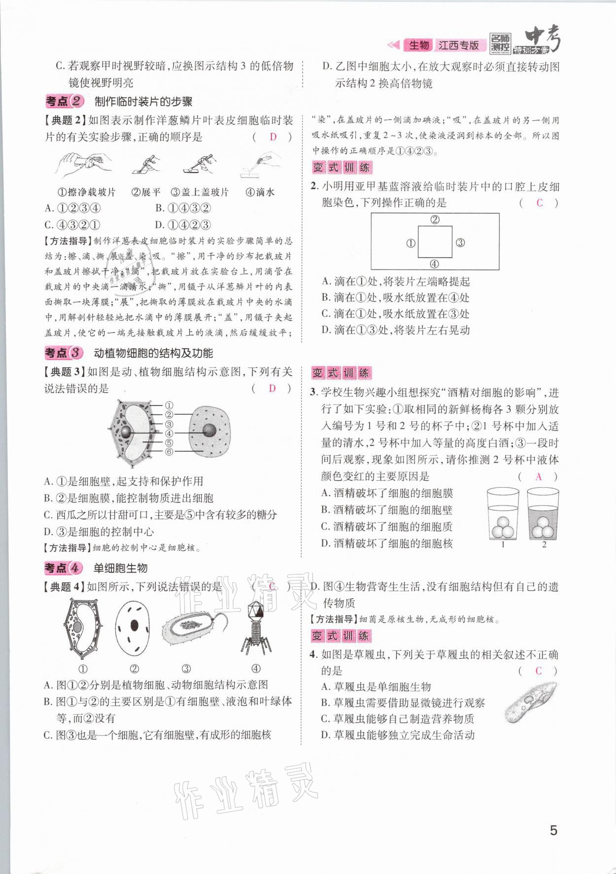 2021年名師測控中考特訓方案生物江西專版 參考答案第5頁