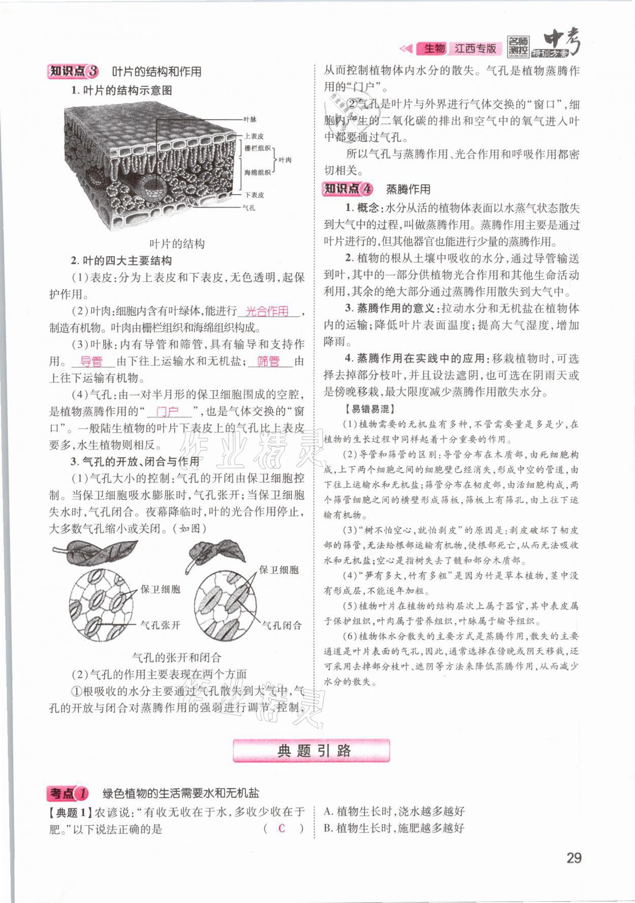 2021年名師測控中考特訓方案生物江西專版 參考答案第29頁