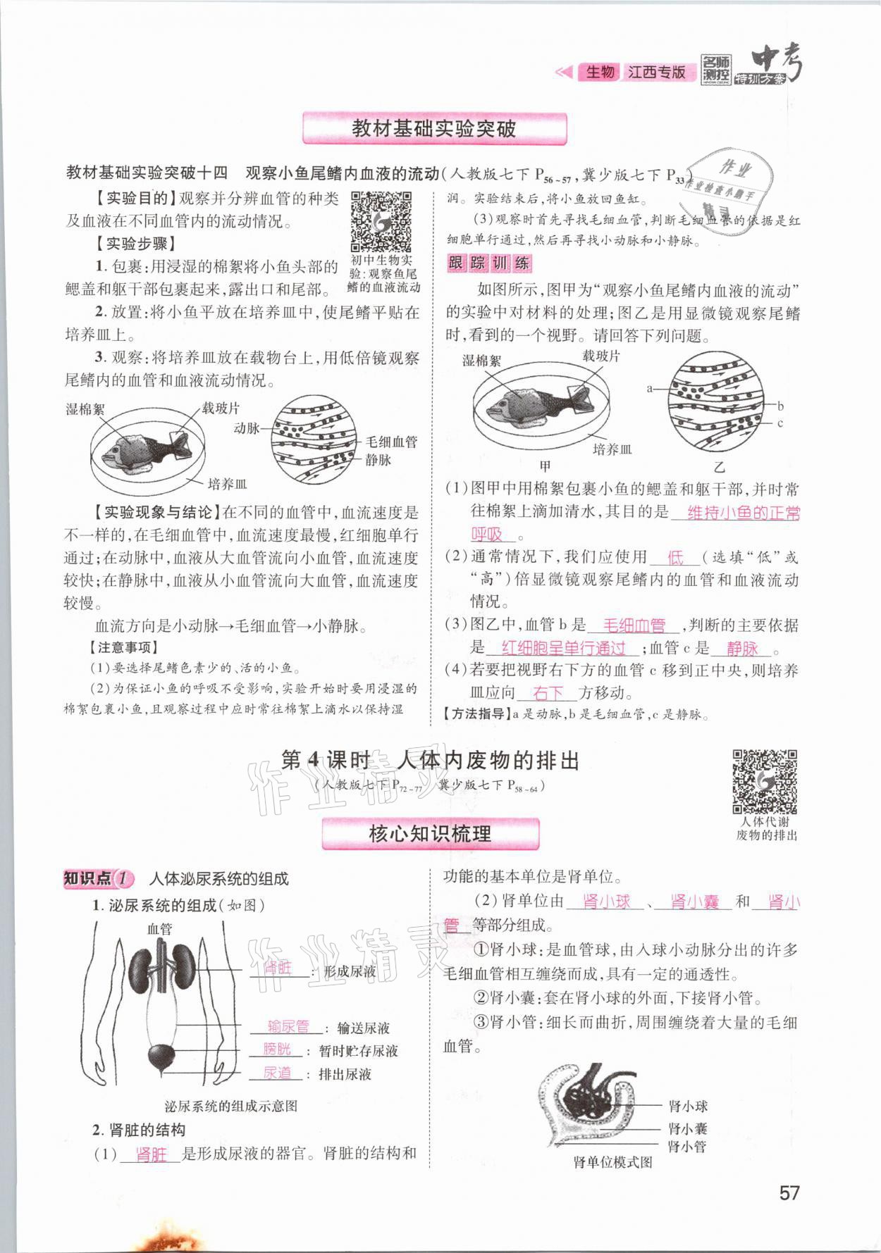 2021年名師測控中考特訓方案生物江西專版 參考答案第57頁