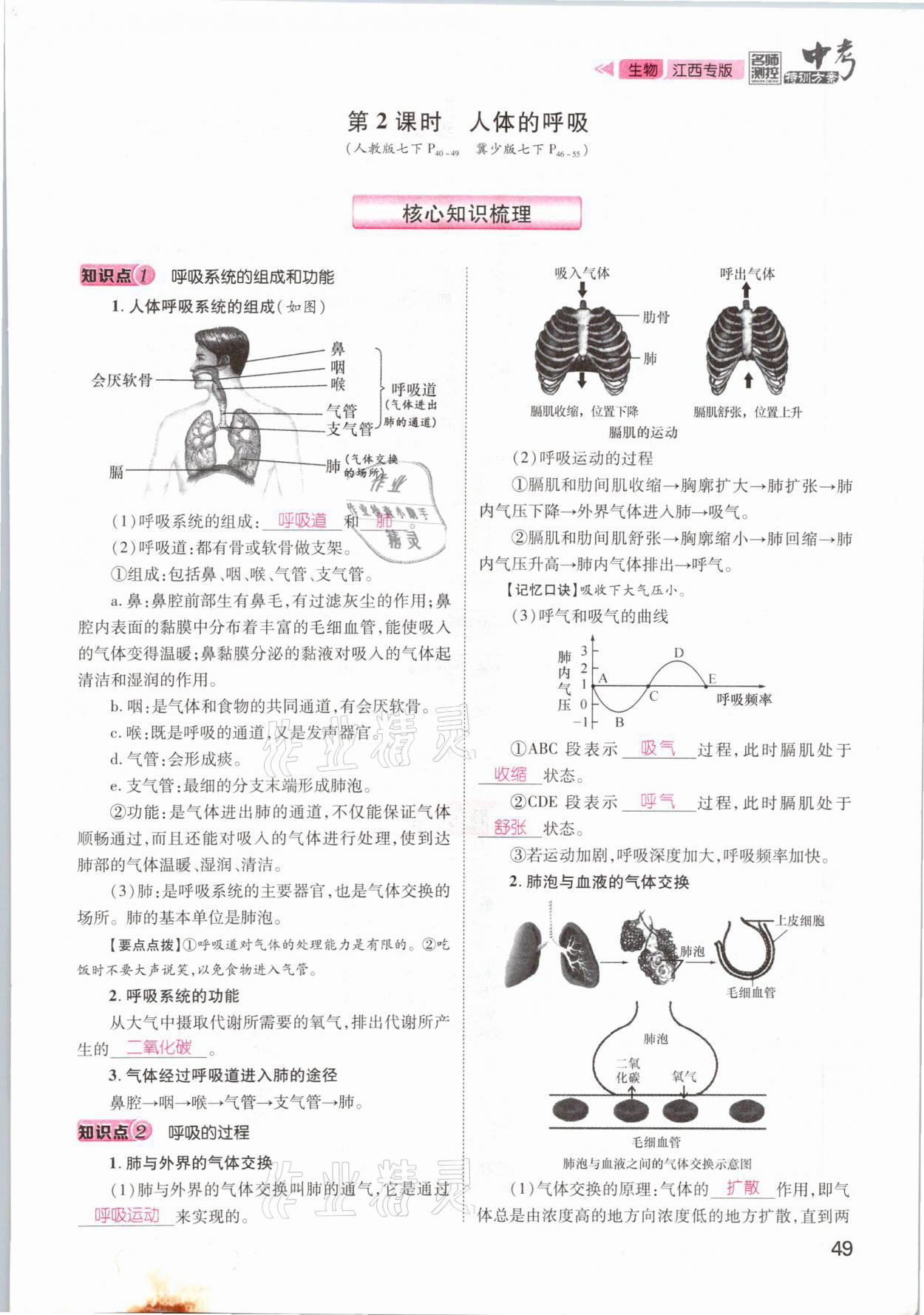 2021年名師測控中考特訓方案生物江西專版 參考答案第49頁