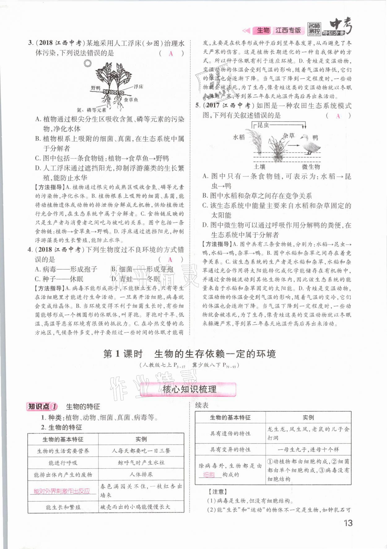 2021年名師測控中考特訓方案生物江西專版 參考答案第13頁