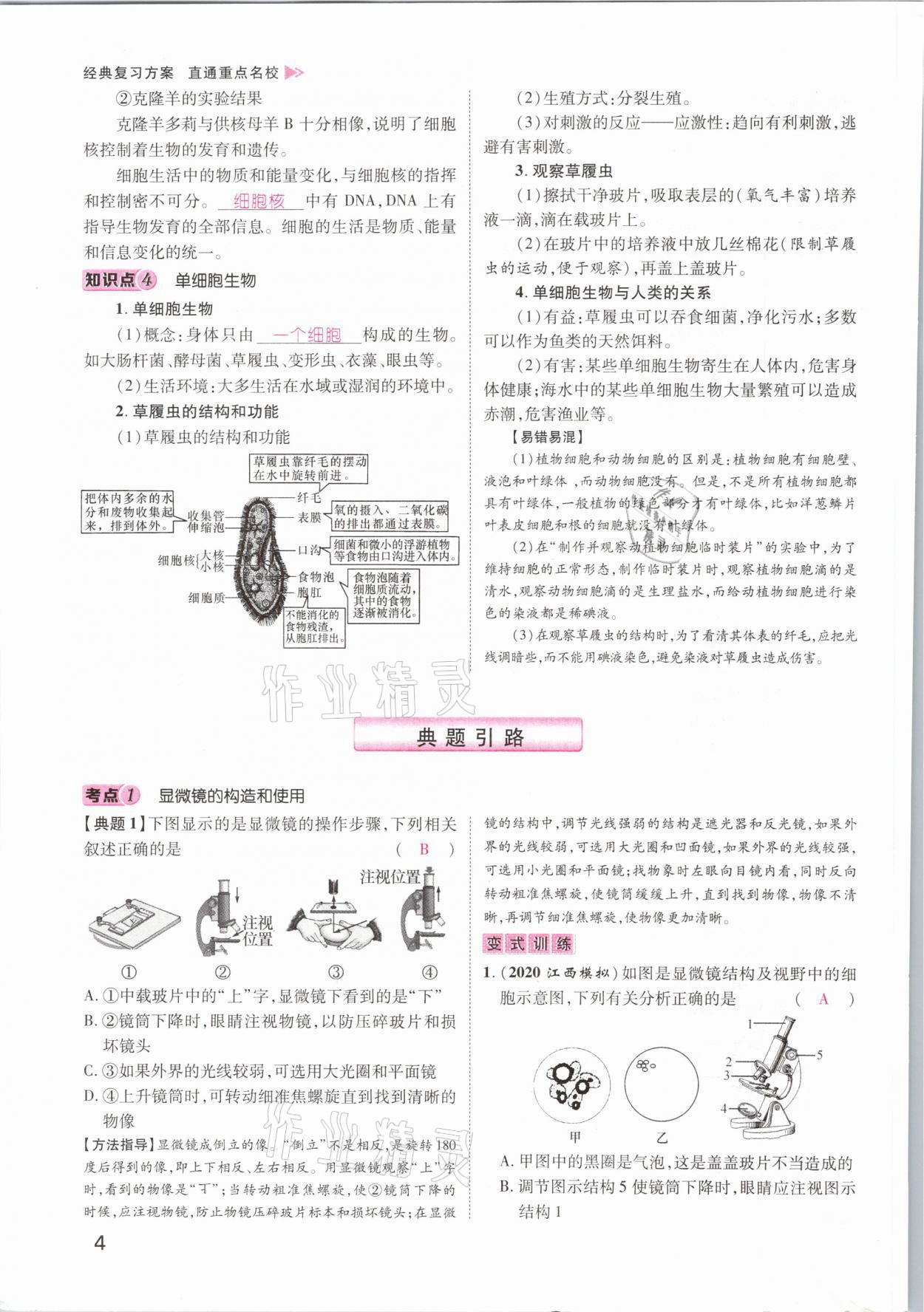 2021年名師測(cè)控中考特訓(xùn)方案生物江西專(zhuān)版 參考答案第4頁(yè)