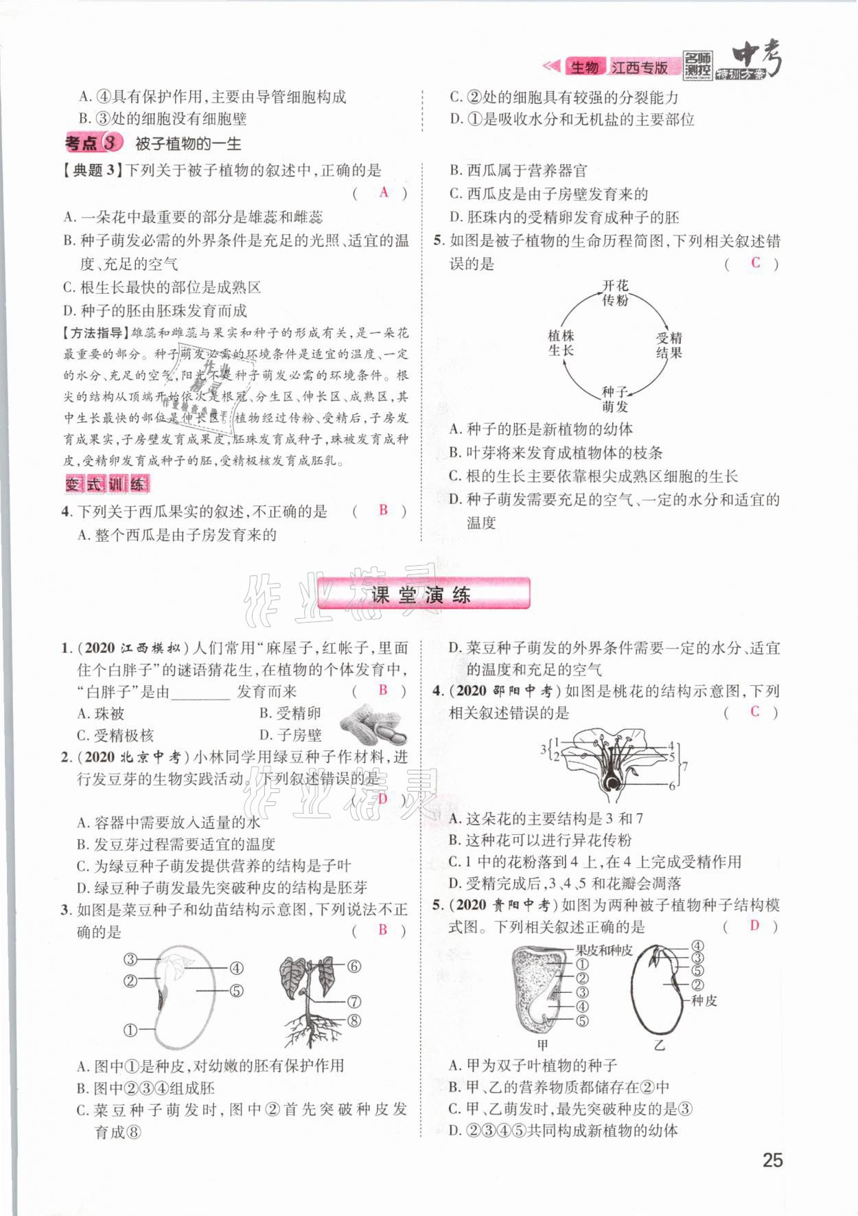 2021年名師測(cè)控中考特訓(xùn)方案生物江西專版 參考答案第25頁