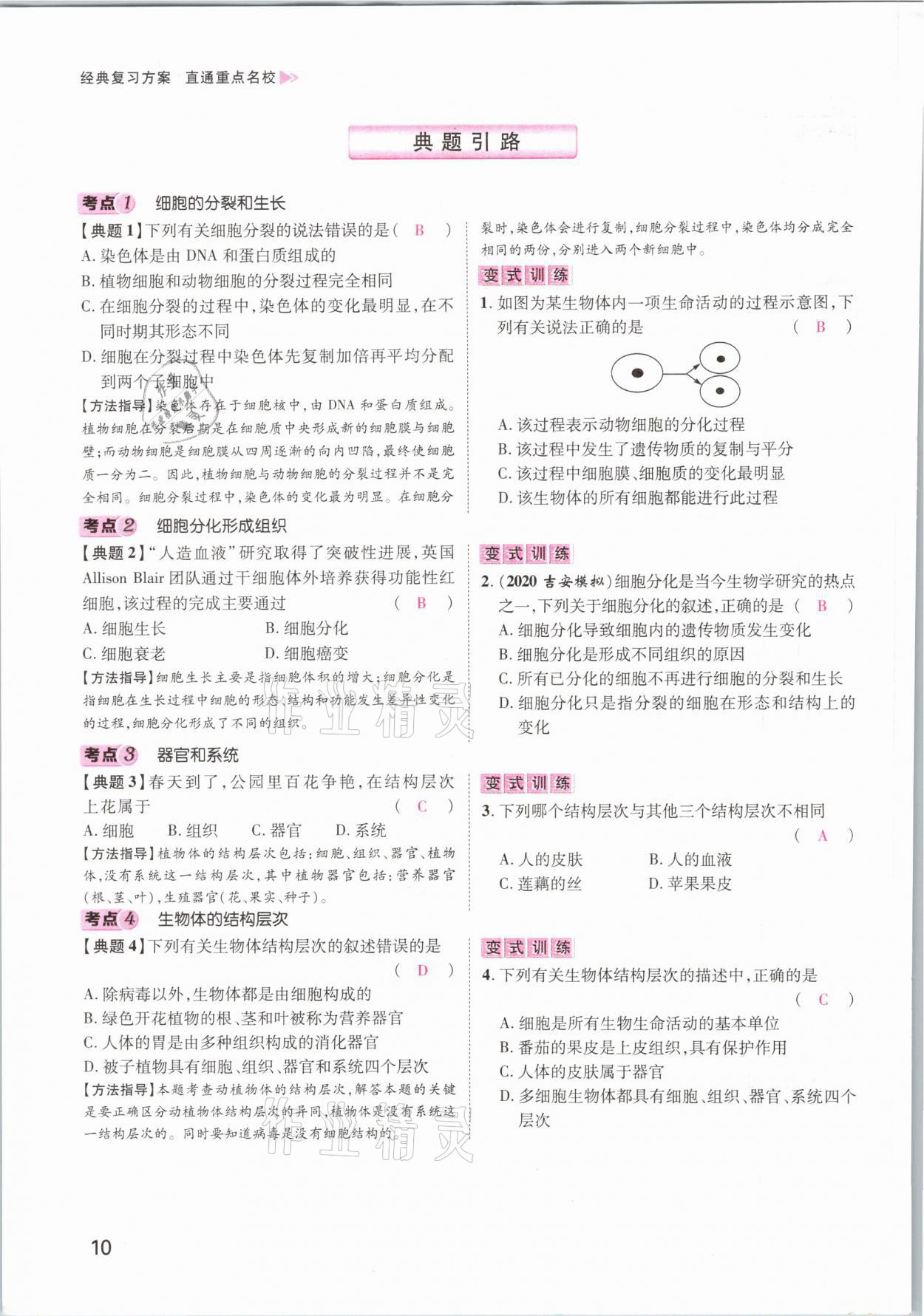 2021年名師測控中考特訓方案生物江西專版 參考答案第10頁