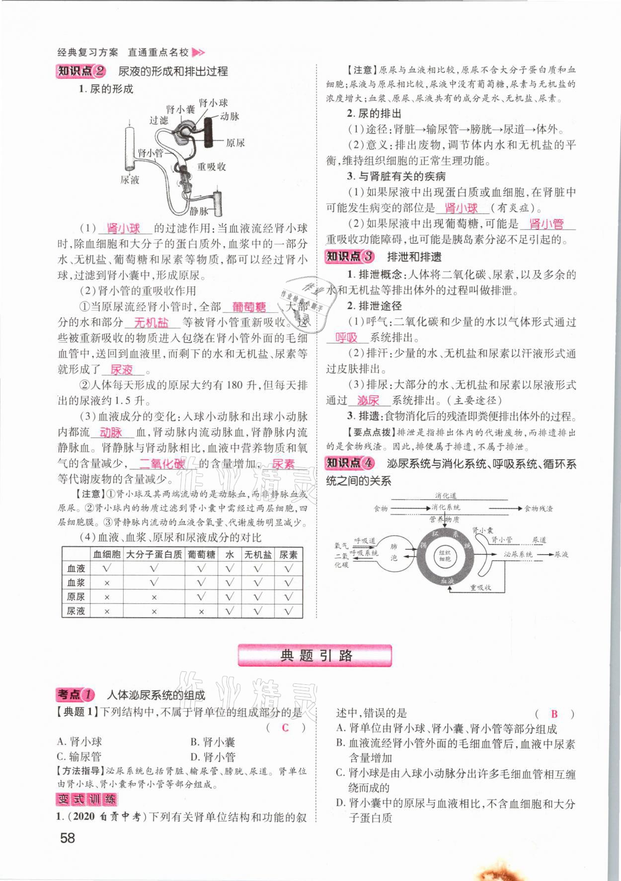 2021年名師測控中考特訓方案生物江西專版 參考答案第58頁