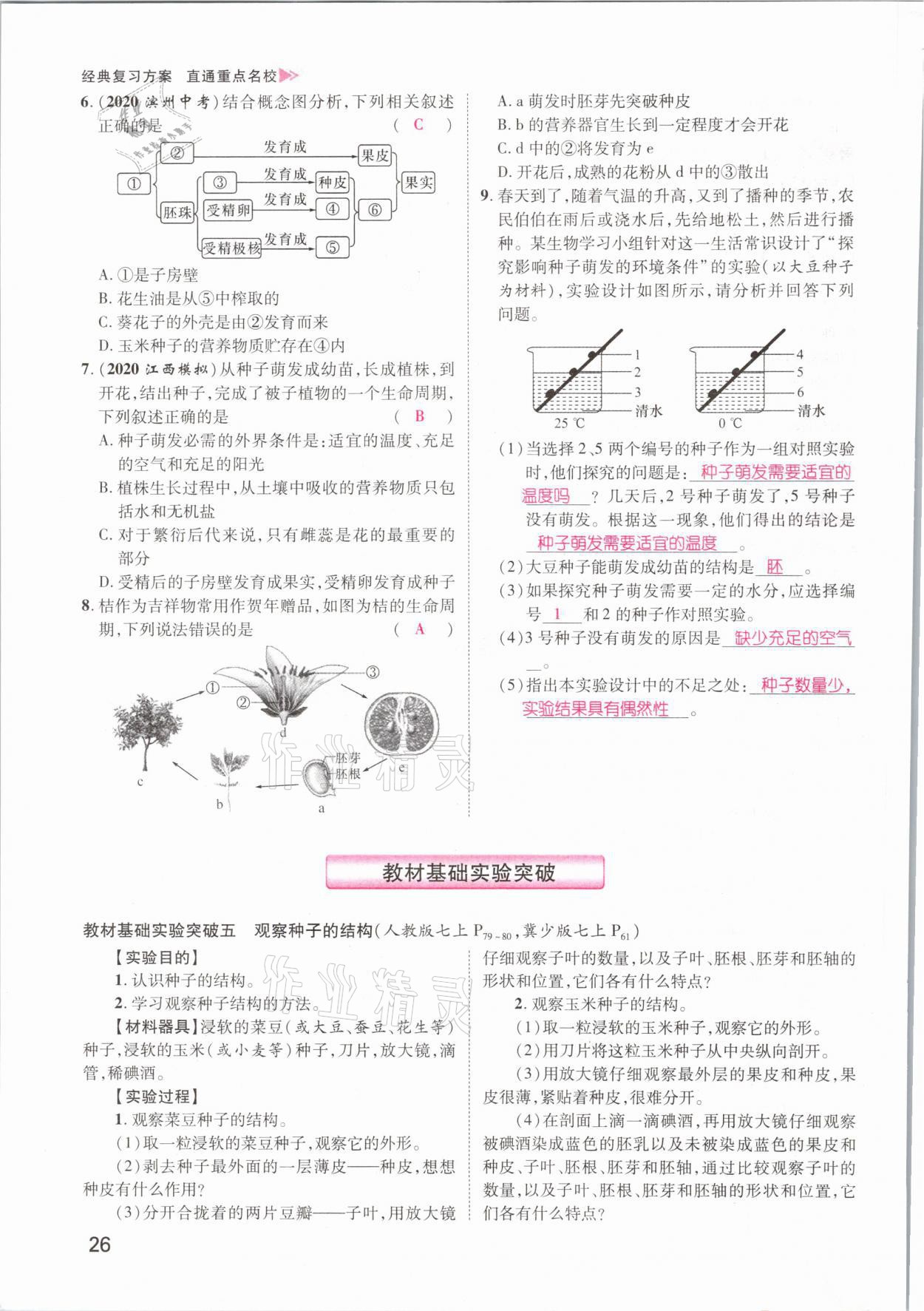 2021年名師測控中考特訓方案生物江西專版 參考答案第26頁