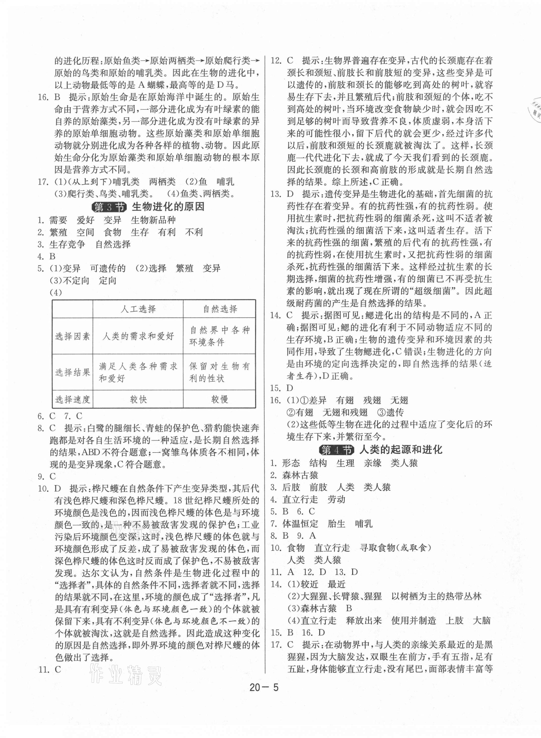 2021年1课3练单元达标测试八年级生物下册苏科版 第5页