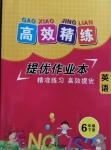 2021年高效精練提優(yōu)作業(yè)本六年級(jí)英語下冊(cè)譯林版