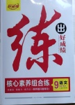 2021年练出好成绩九年级语文下册人教版