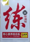 2021年練出好成績九年級化學下冊人教版