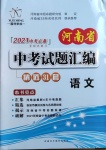 2021年河南省中考试题汇编精选31套语文