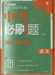 2021年中考必刷題語文河南專版開明出版社