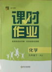 2021年經(jīng)綸學(xué)典課時(shí)作業(yè)九年級(jí)化學(xué)下冊(cè)滬教版