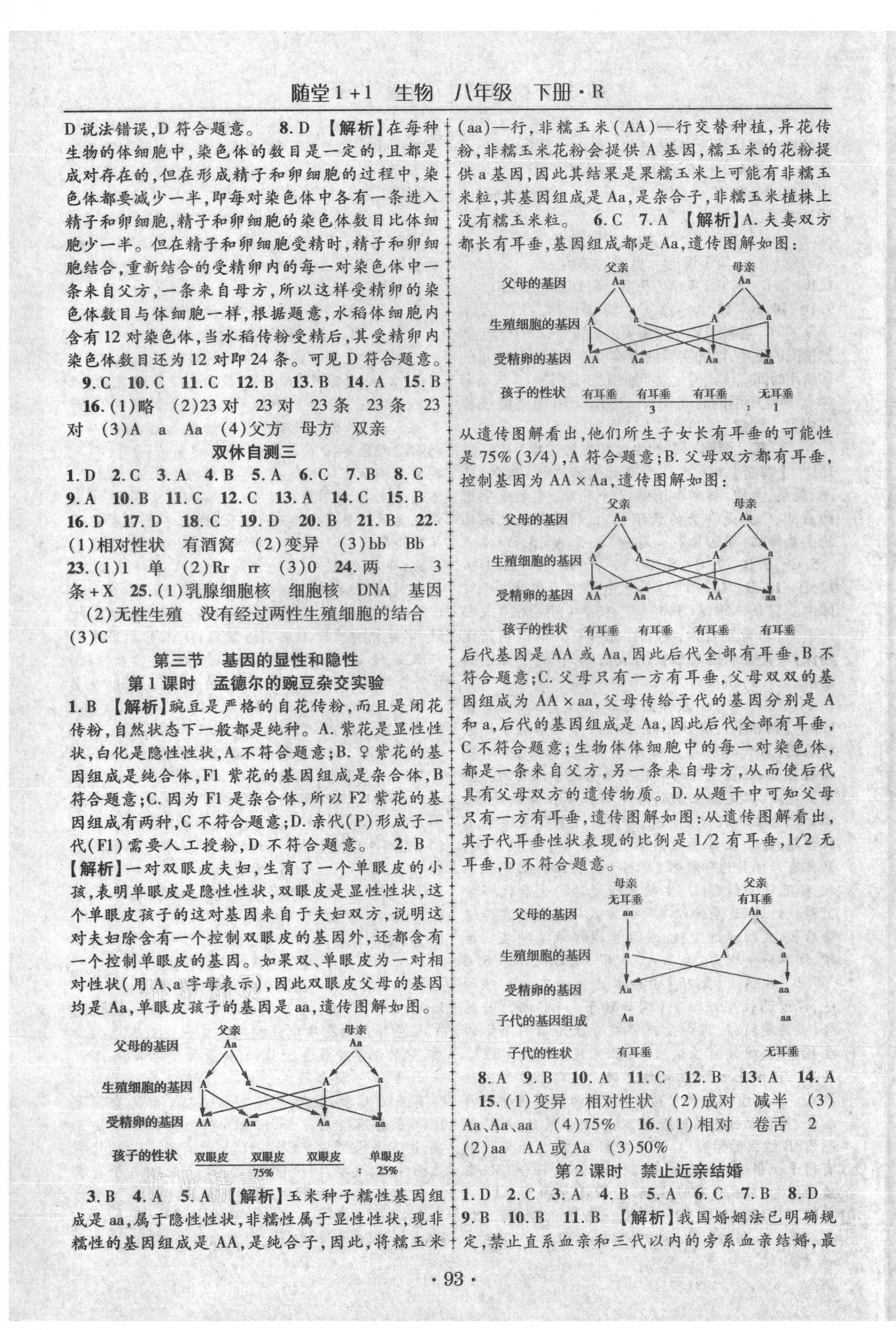 2021年随堂1加1导练八年级生物下册人教版 第3页