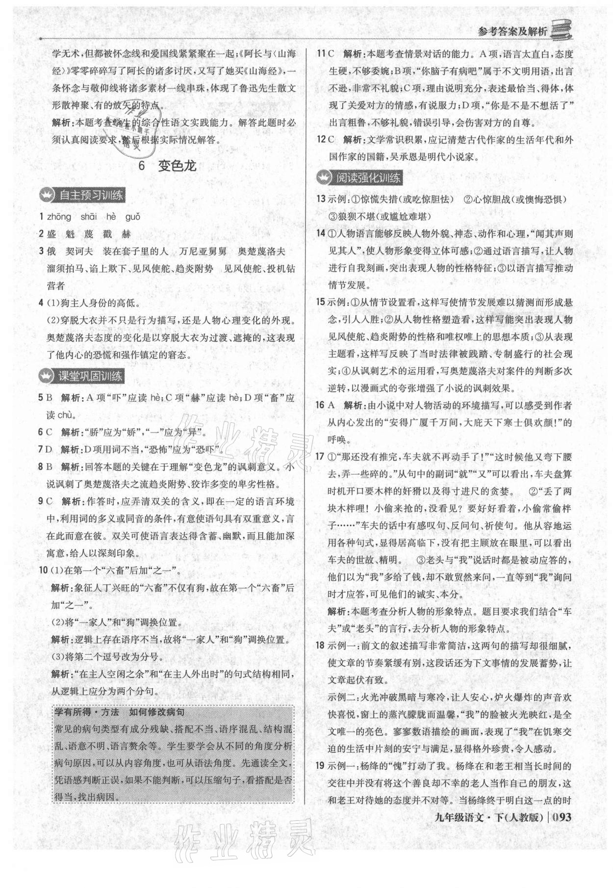 2021年1加1轻巧夺冠优化训练九年级语文下册人教版 参考答案第6页