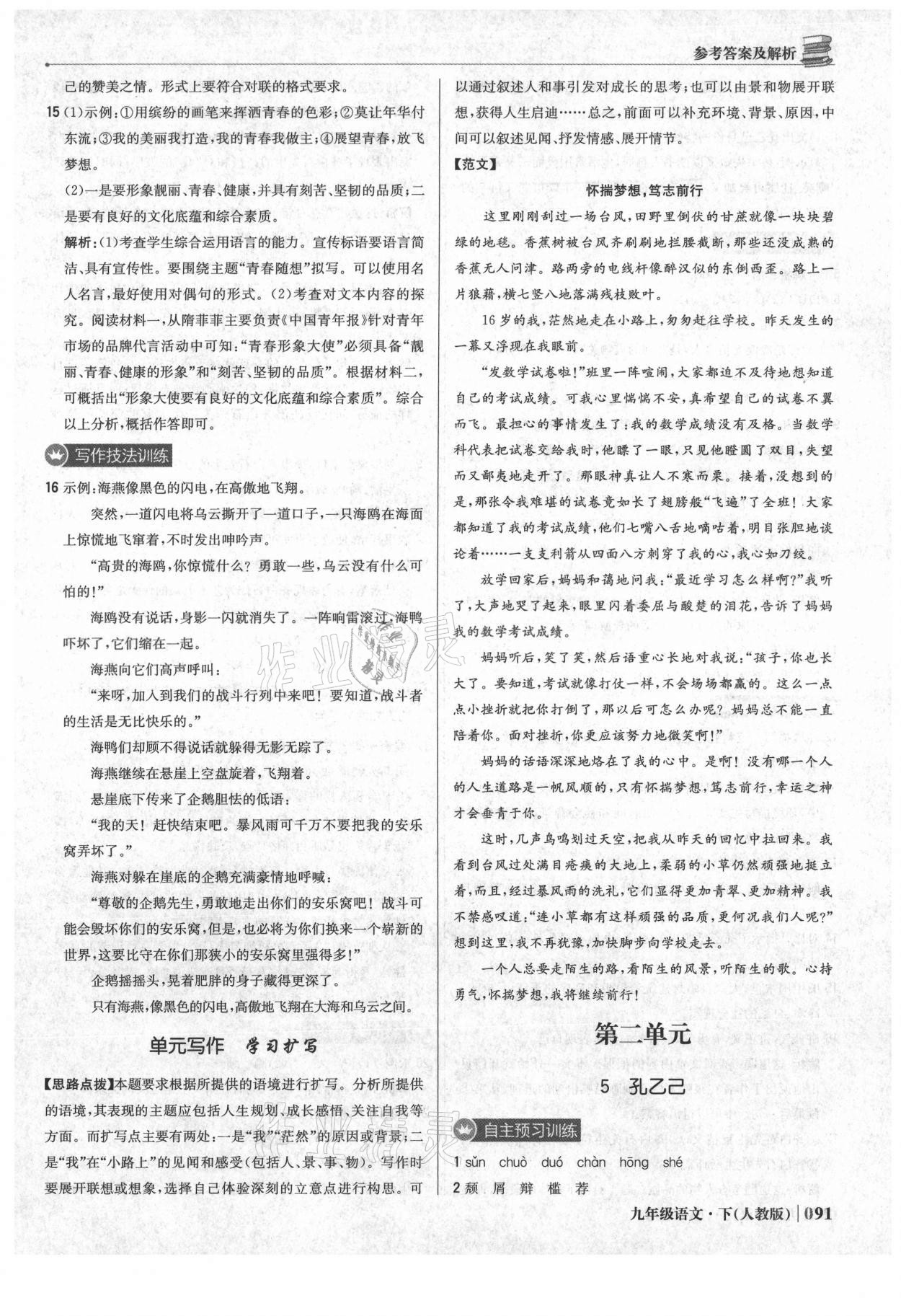 2021年1加1轻巧夺冠优化训练九年级语文下册人教版 参考答案第4页