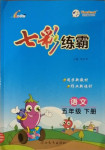 2021年七彩練霸五年級(jí)語(yǔ)文下冊(cè)人教版