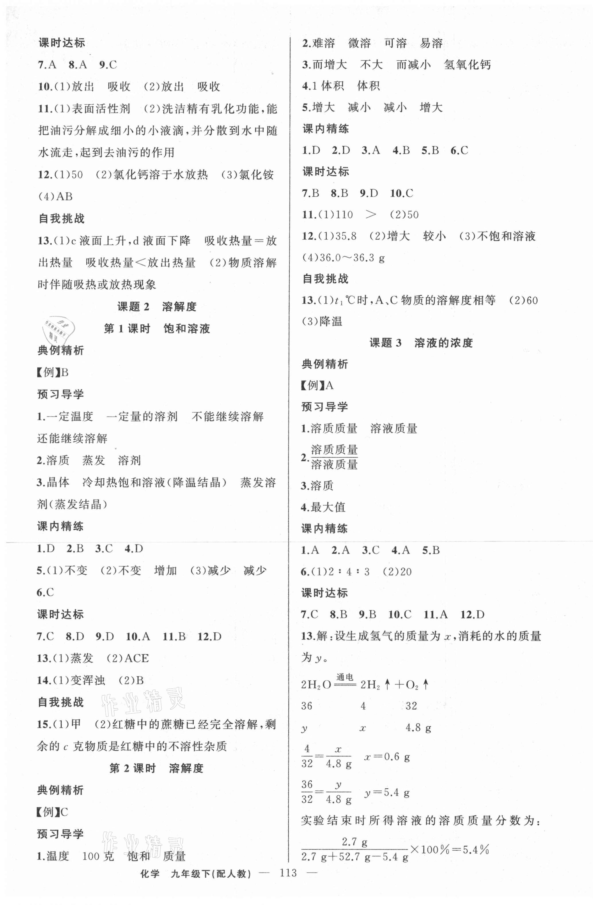 2021年黄冈金牌之路练闯考九年级化学下册人教版 第5页