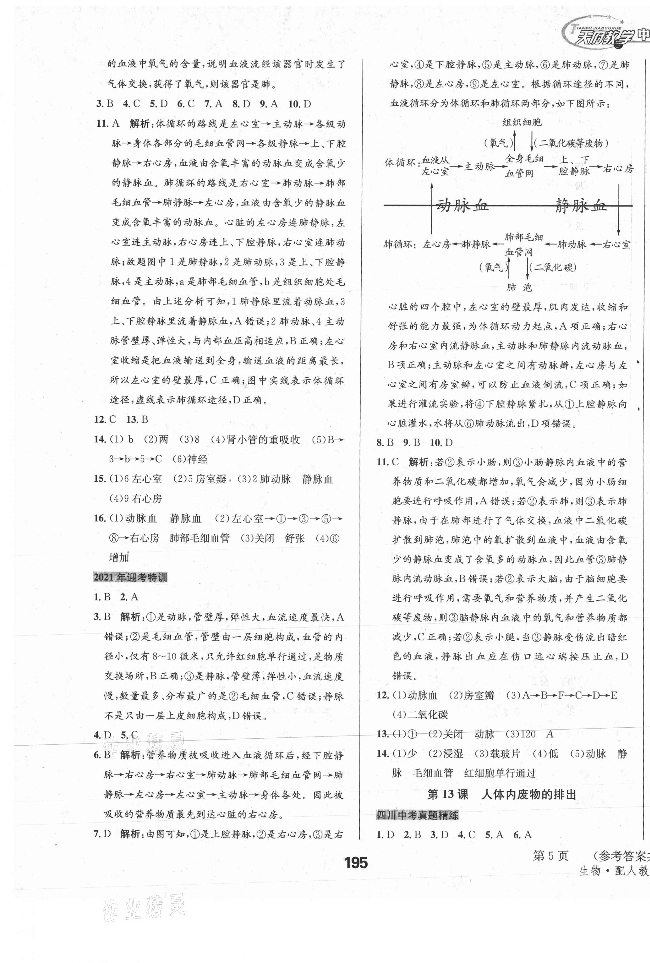 2021年天府教與學(xué)中考復(fù)習(xí)與訓(xùn)練生物人教版四川專版 第5頁