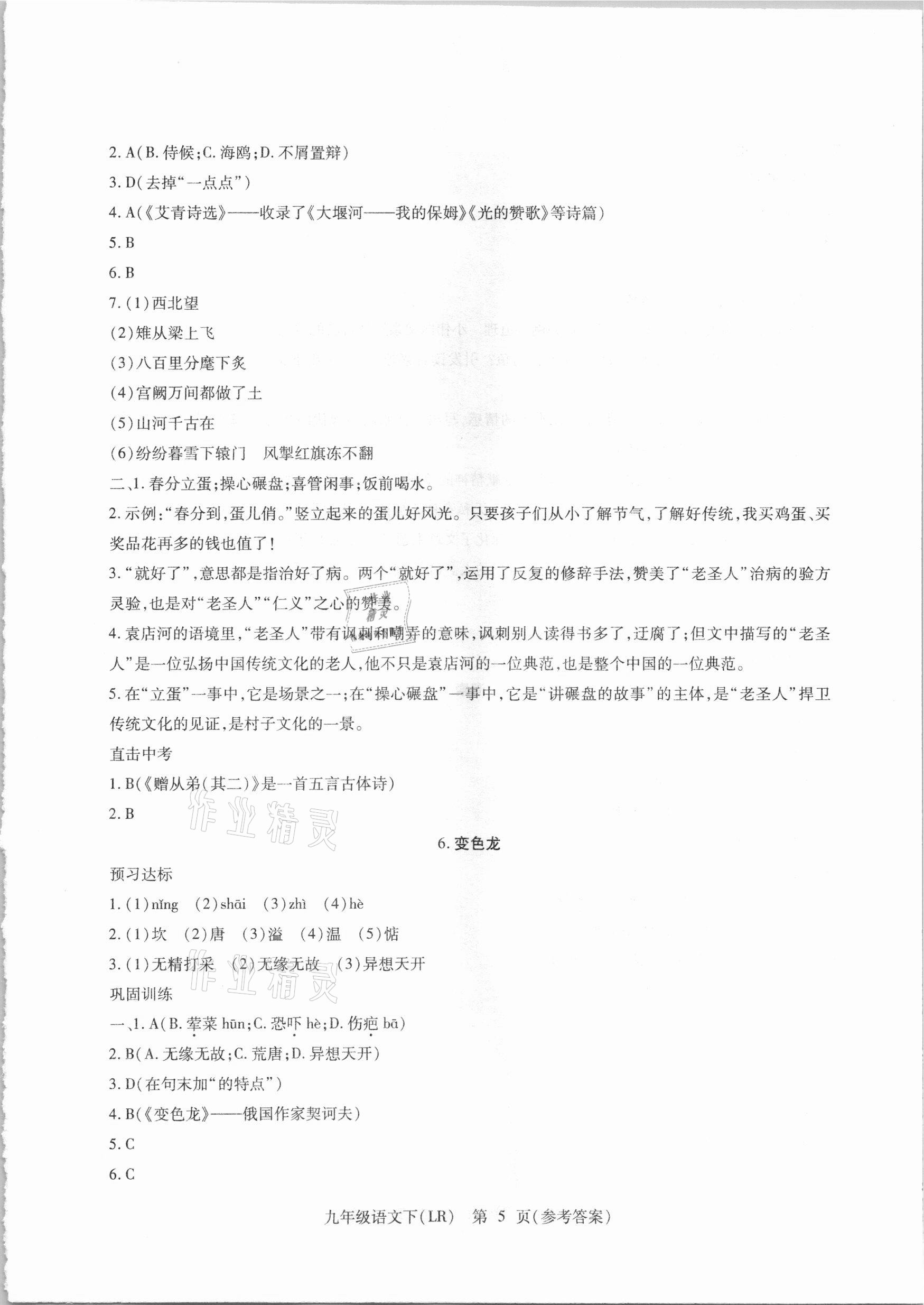 2021年精析巧练九年级语文下册人教版 参考答案第5页