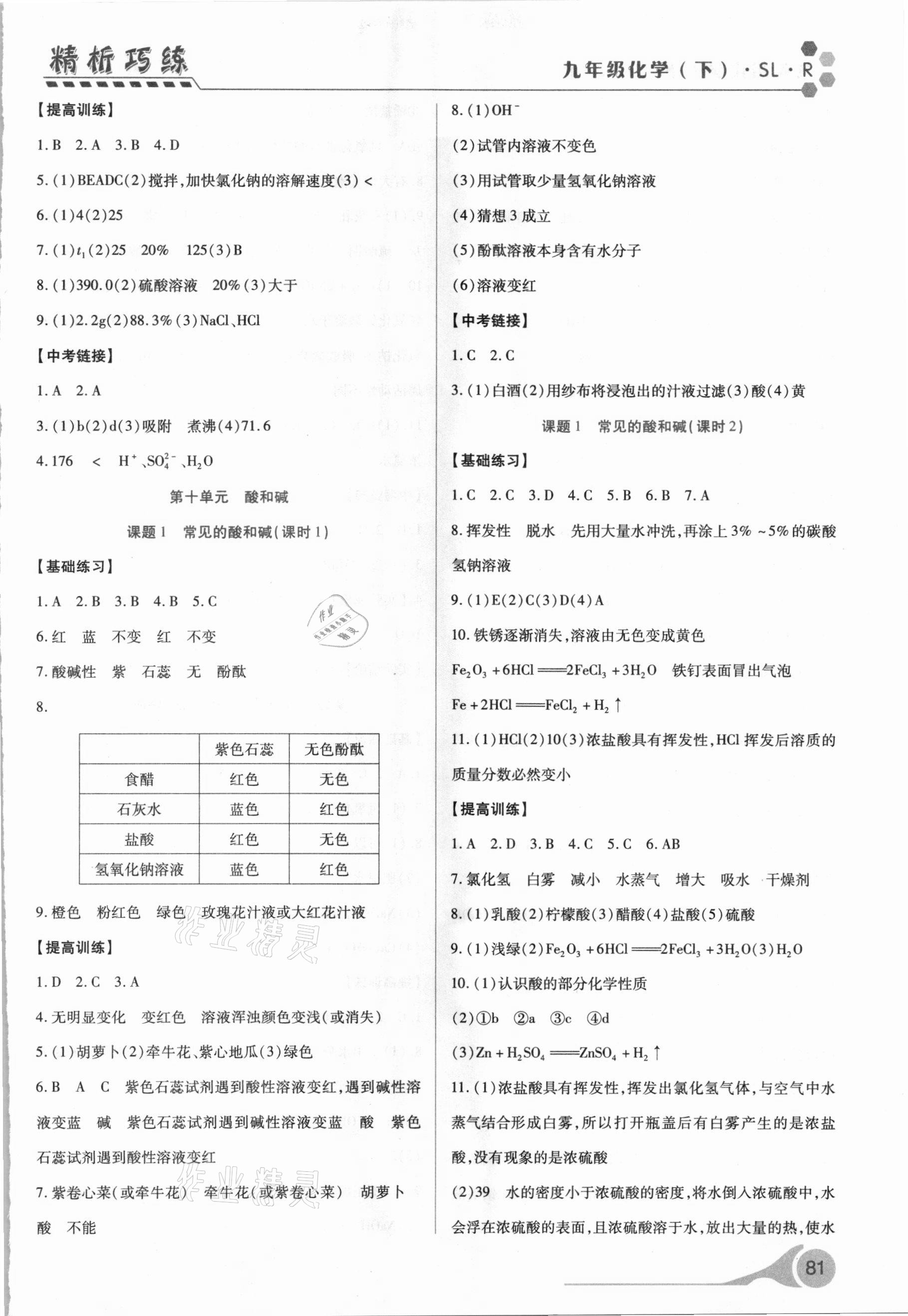 2021年精析巧练九年级化学下册 第5页