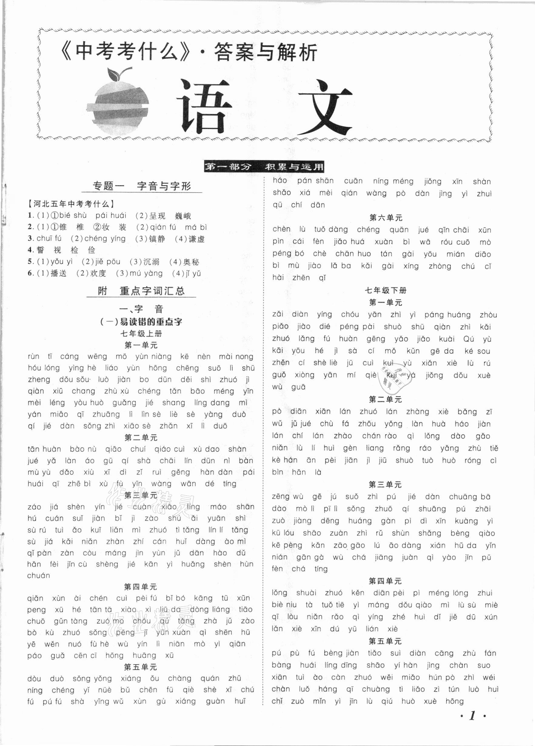 2021年中考考什么語(yǔ)文河北專版 參考答案第1頁(yè)