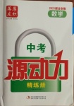 2021年中考源動力數(shù)學河北專用