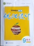 2021年初中同步学考优化设计九年级化学下册人教版