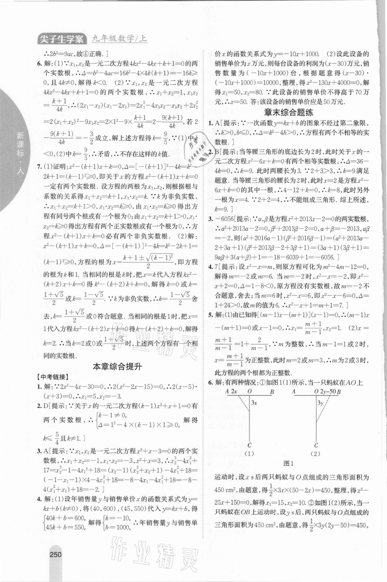 2020年尖子生学案九年级数学上册人教版 参考答案第6页