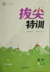 2021年拔尖特训二年级数学下册人教版