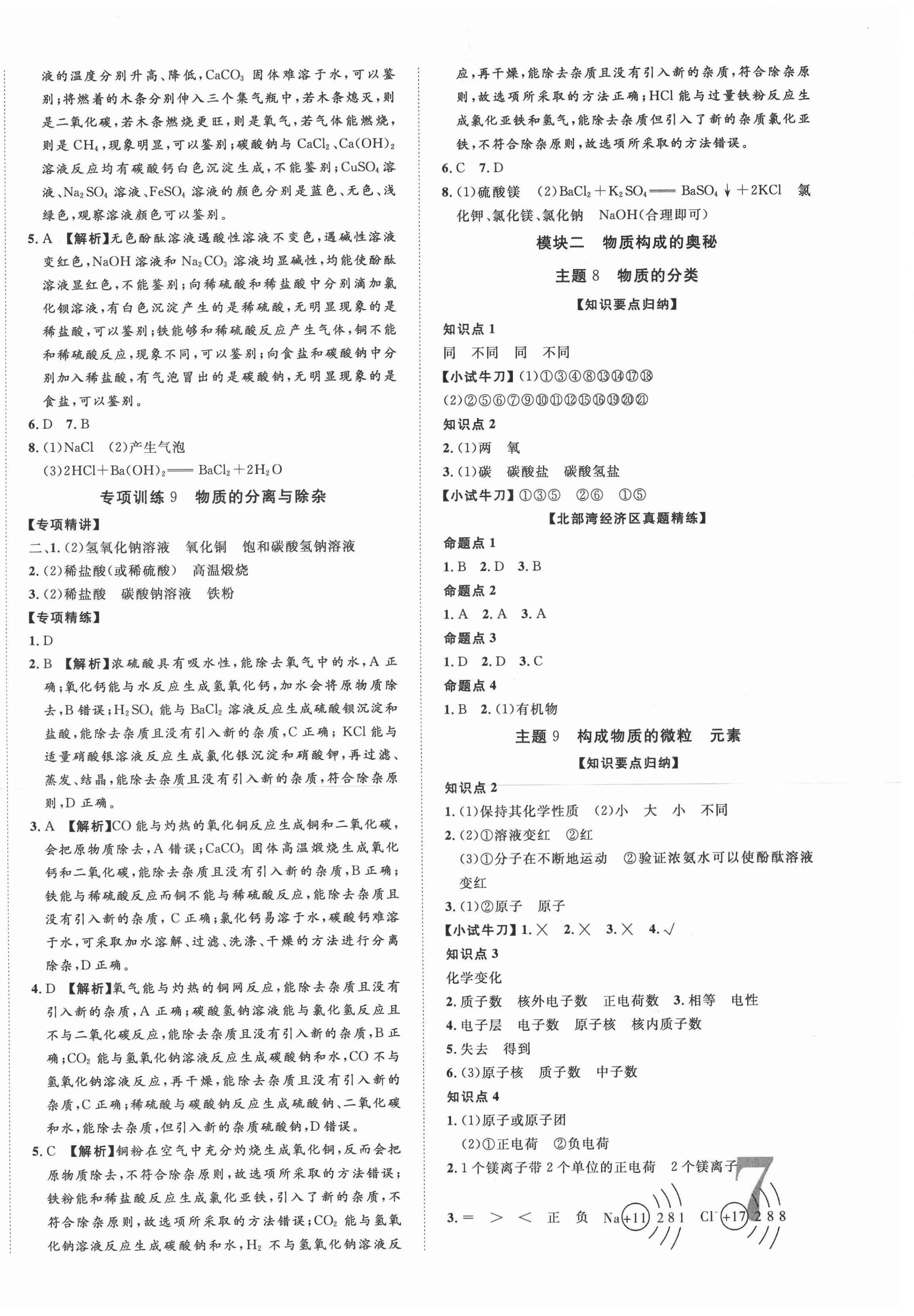 2021年廣西中考優化指導化學 第14頁