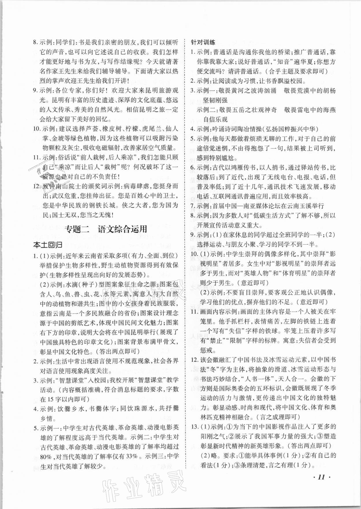 2021年本土攻略精準(zhǔn)復(fù)習(xí)方案語(yǔ)文云南專版 第11頁(yè)