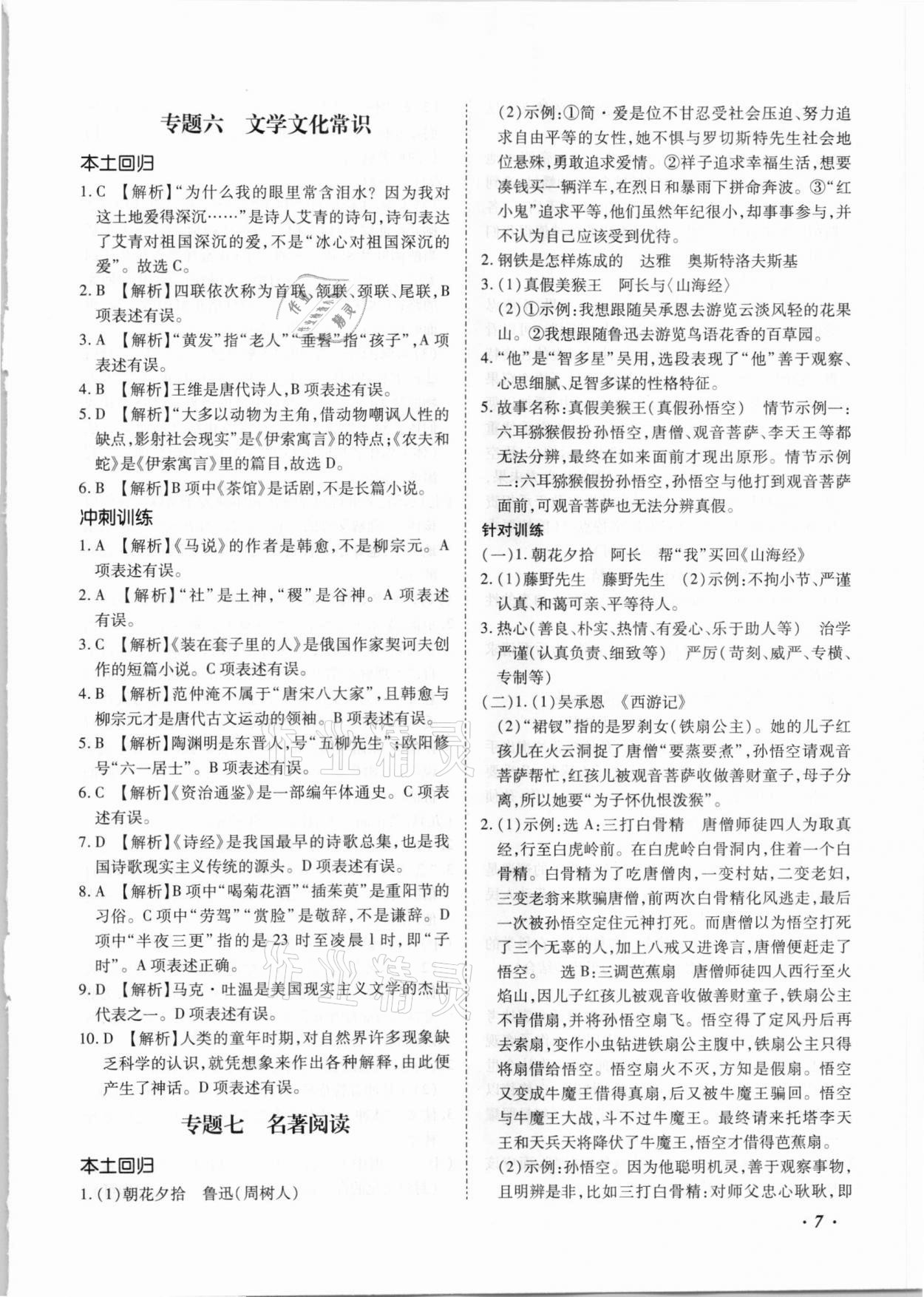 2021年本土攻略精準(zhǔn)復(fù)習(xí)方案語文云南專版 第7頁