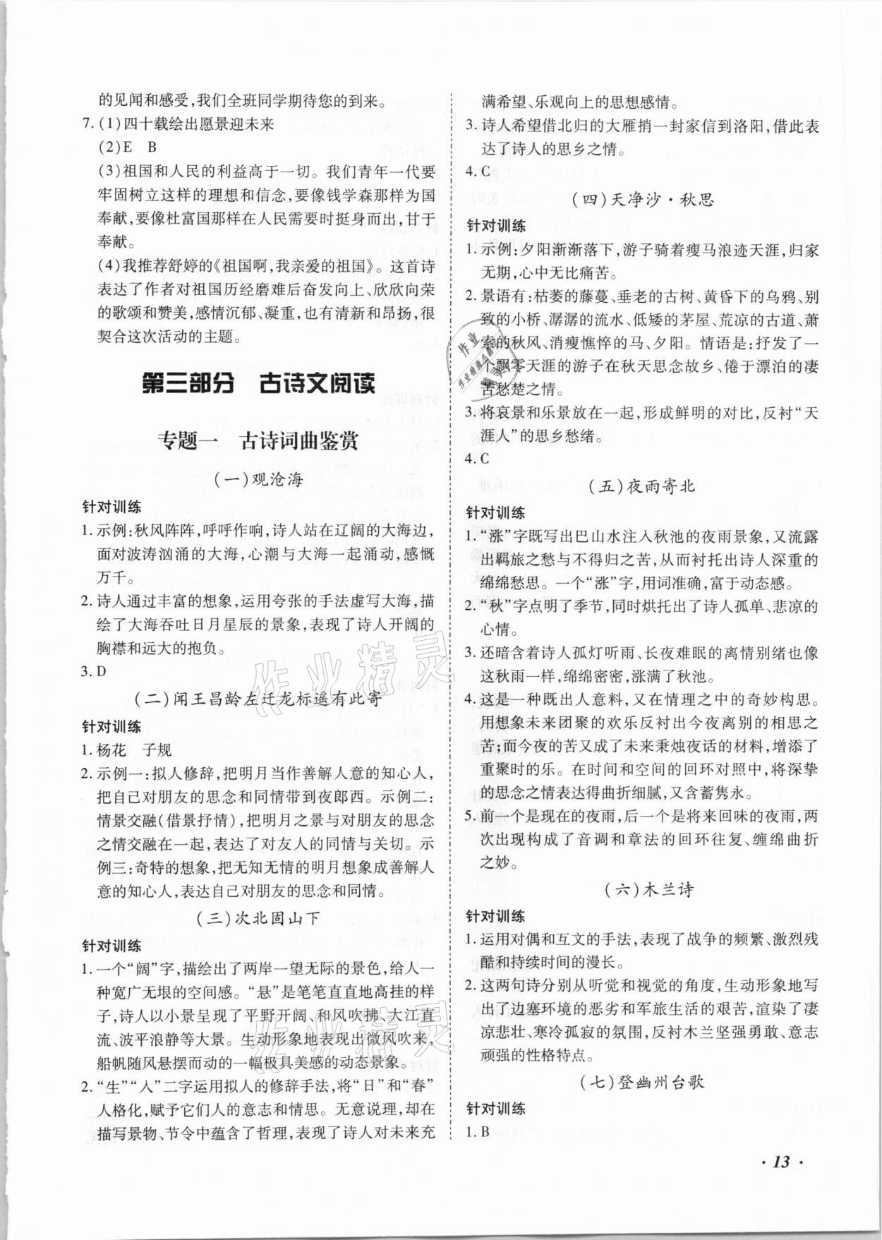 2021年本土攻略精準(zhǔn)復(fù)習(xí)方案語(yǔ)文云南專(zhuān)版 第13頁(yè)