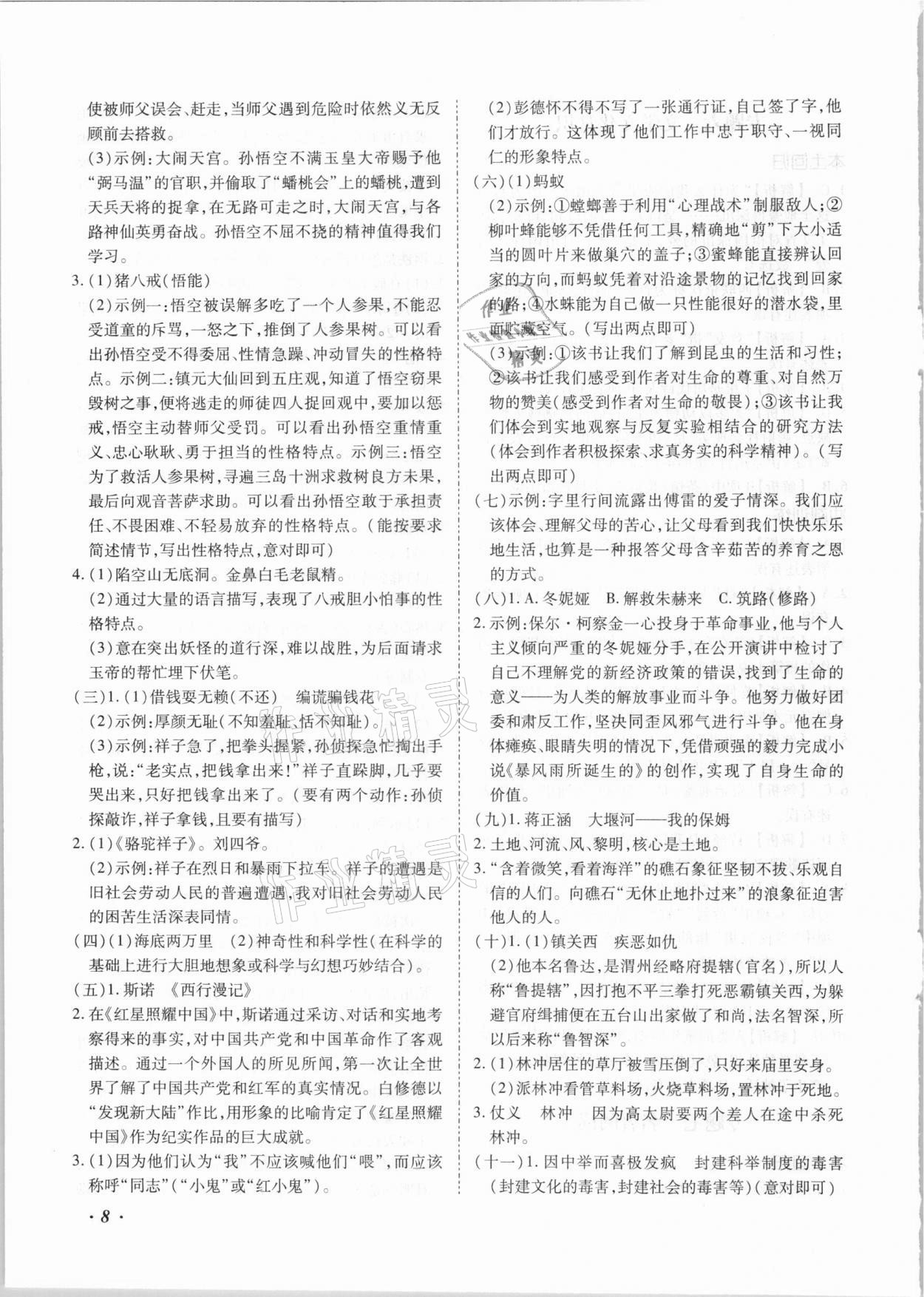 2021年本土攻略精準(zhǔn)復(fù)習(xí)方案語文云南專版 第8頁