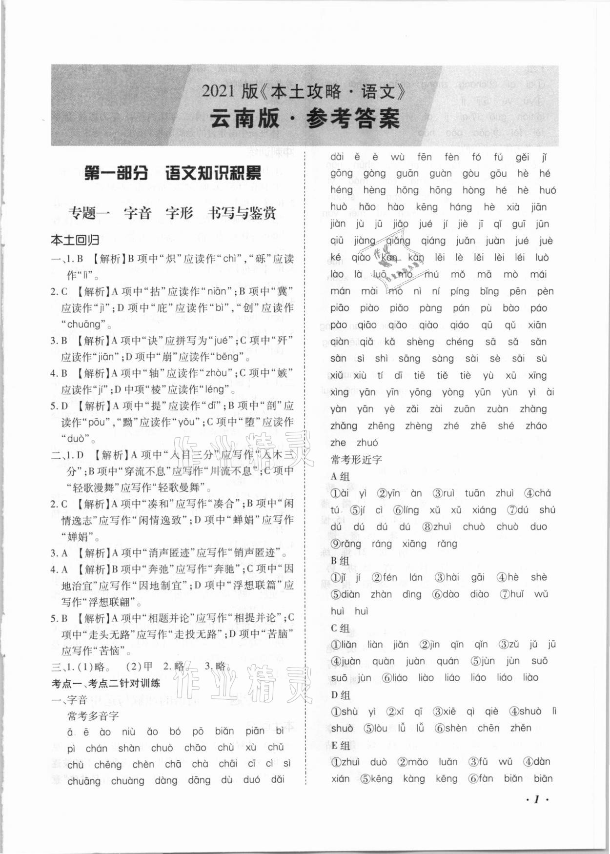 2021年本土攻略精準復習方案語文云南專版 第1頁