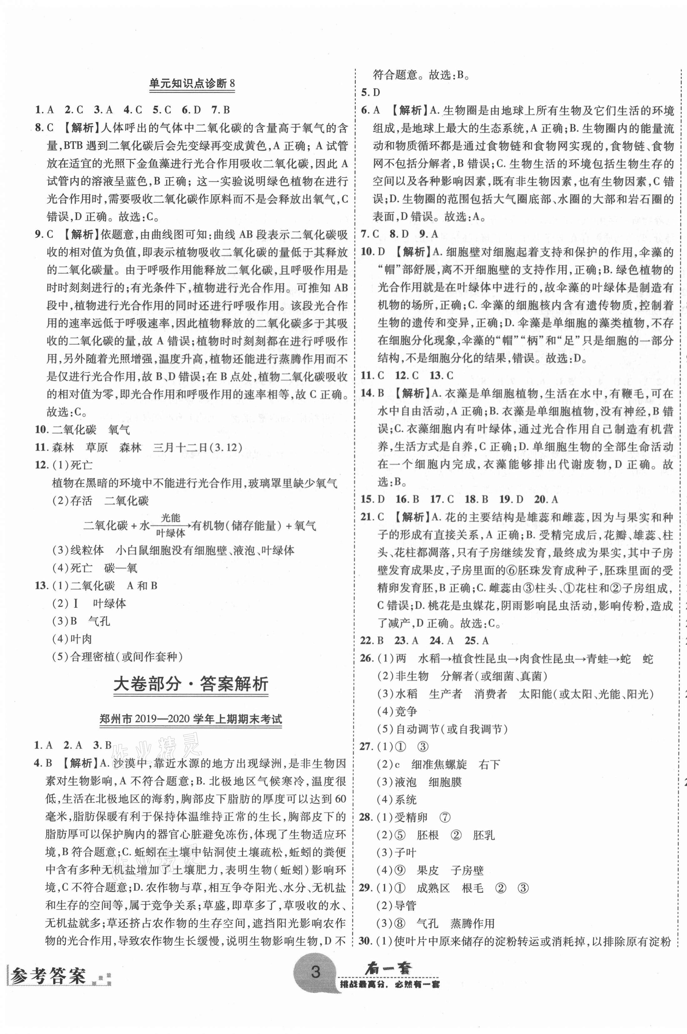 2020年有一套初中期末真題匯編七年級(jí)生物上冊(cè)人教版河南專版 第3頁