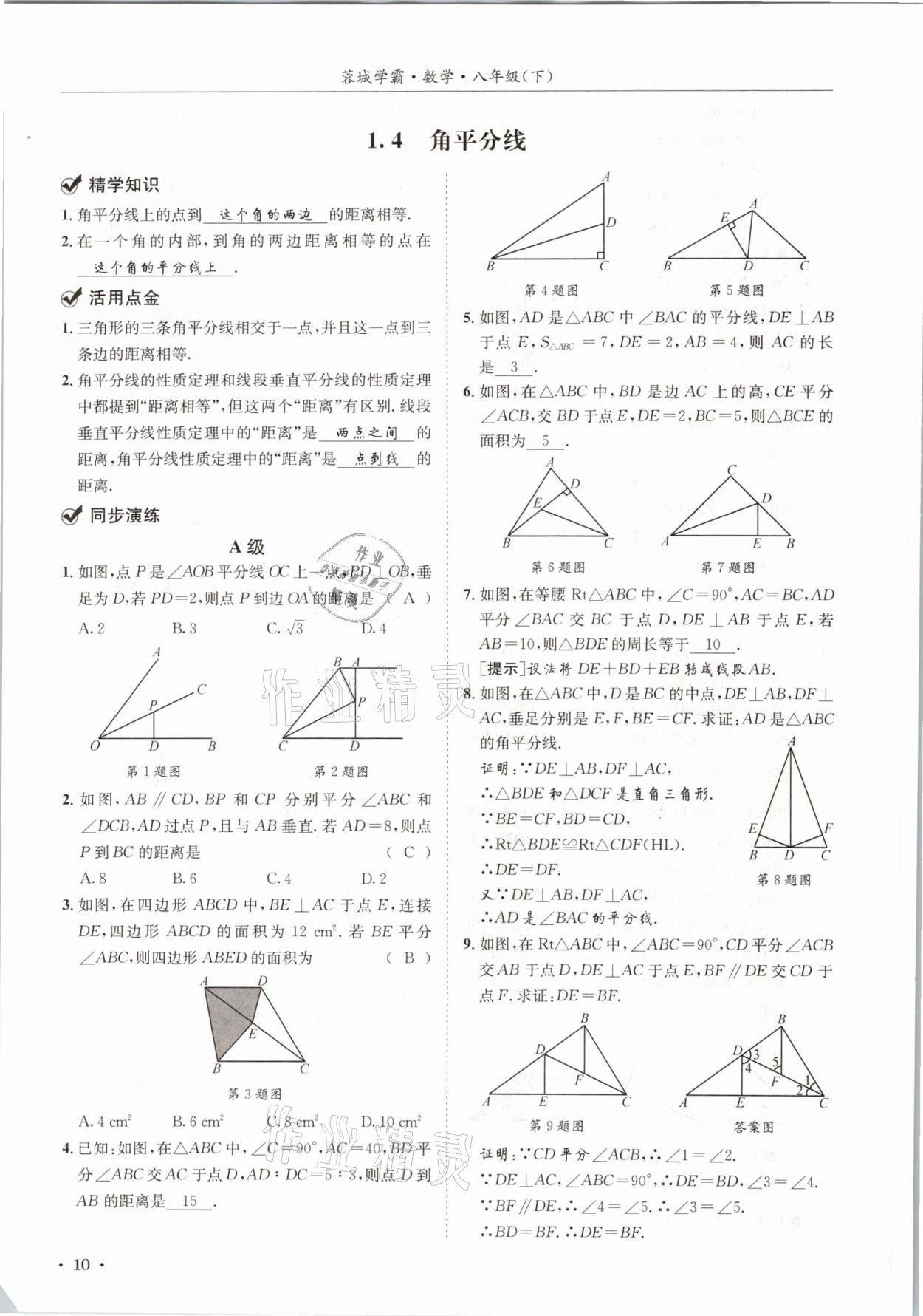 2021年蓉城學(xué)霸八年級(jí)數(shù)學(xué)下冊(cè)北師大版 第10頁(yè)