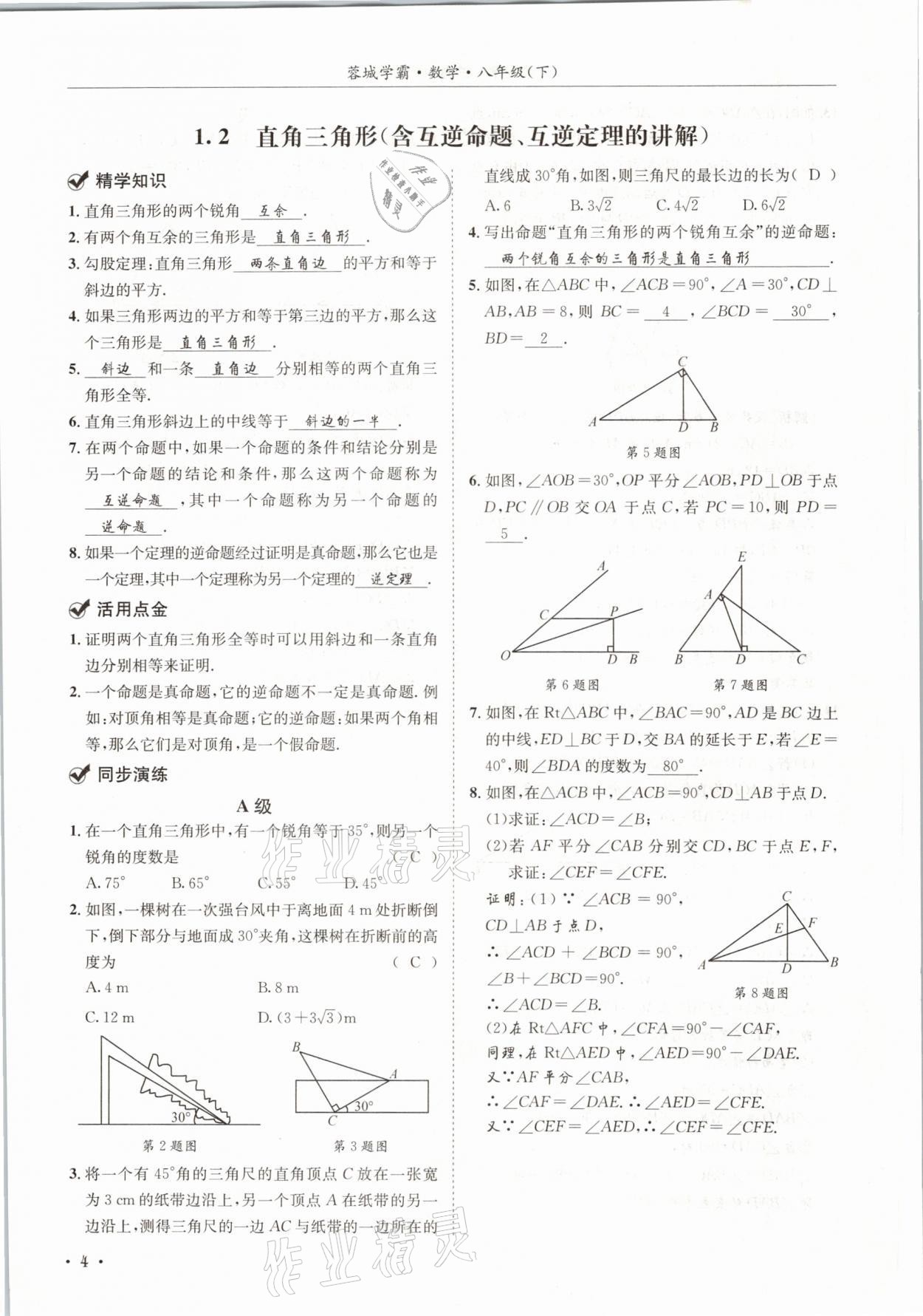 2021年蓉城學霸八年級數(shù)學下冊北師大版 第4頁