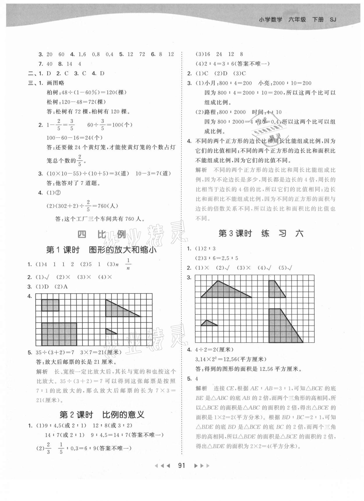 2021年53天天練小學(xué)數(shù)學(xué)六年級(jí)下冊(cè)蘇教版 參考答案第7頁