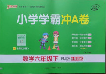 2021年小學(xué)學(xué)霸沖A卷六年級數(shù)學(xué)下冊人教版