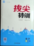 2021年拔尖特訓(xùn)九年級化學(xué)下冊人教版