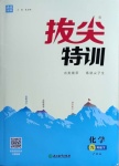 2021年拔尖特訓(xùn)九年級(jí)化學(xué)下冊(cè)滬教版