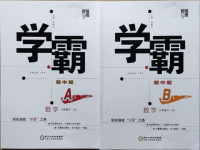 2021年經(jīng)綸學典學霸八年級數(shù)學下冊浙教版