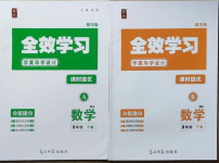 2021年全效學習八年級數(shù)學下冊人教版精華版