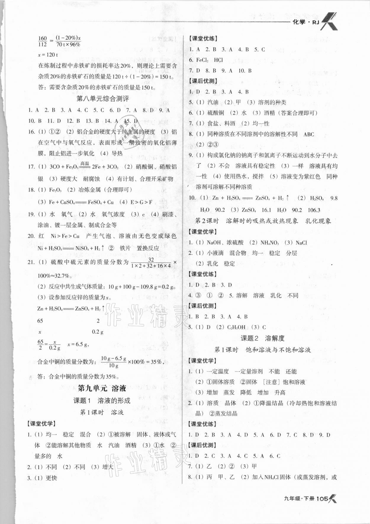 2021年全优点练课计划九年级化学下册人教版 第3页